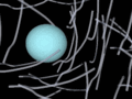 120px-Film_particule_ds_polymere