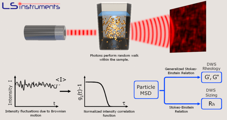 DWS_webpage_wavy_small(1)