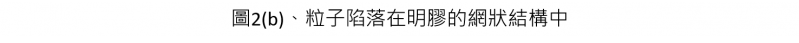 粒子陷落在明膠的網狀結構中